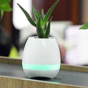 Smart flower pot