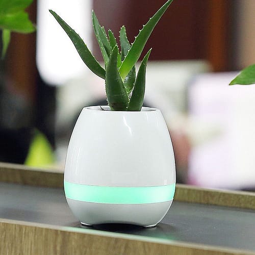 Speaker shops plant pot